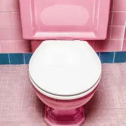 les toilettes bouchées sont un problème courant et particulièrement désagréable. non seulement elles perturbent le quotidien, mais elles peuvent aussi causer des désagréments majeurs si elles ne sont pas traitées rapidement. qu'il s'agisse d'une simple accumulation de papier ou d'un problème plus complexe lié à vos canalisations, comprendre les causes et les solutions est essentiel pour maintenir vos installations en parfait état de marche. dans cet article, nous explorerons les raisons pour lesquelles vos wc peuvent se boucher, les méthodes que vous pouvez essayer par vous-même, et quand il est préférable de faire appel à un professionnel pour un débouchage efficace et durable.                  ​