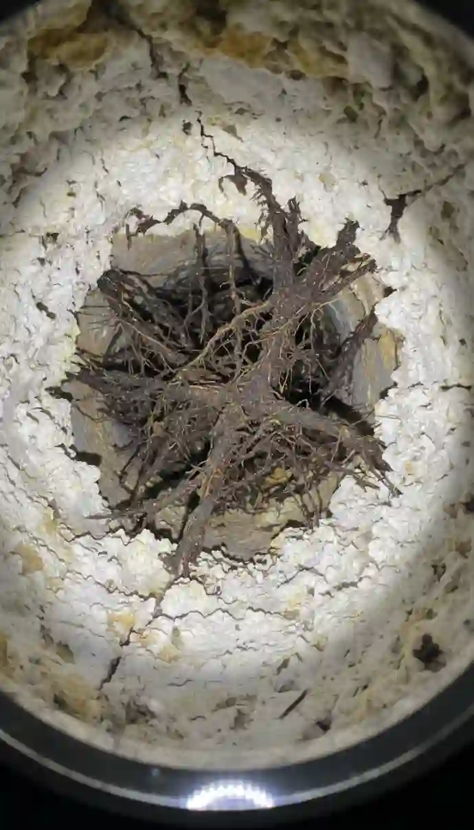 Débouchage canalisation Auderghem